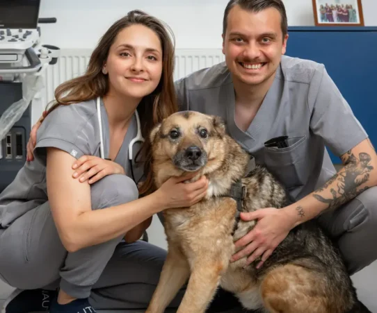 lekarka i lekarz z psem w gabinecie