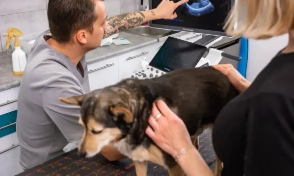 lekarz z psem i właścicielem podczas wizyty