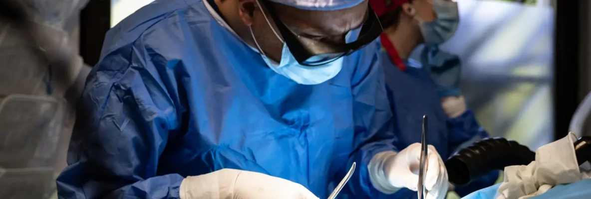 Onkolog weterynaryjny w Krakowie – kompleksowa opieka nad psem z nowotworem