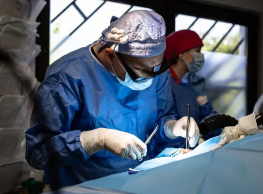 lekarz i pielęgniarka podczas operacji