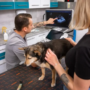 lekarz z psem i właścicielem podczas wizyty