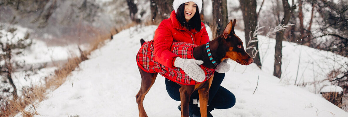 Zimowa opieka nad psem – jak przygotować pupila na mróz i sól na chodnikach